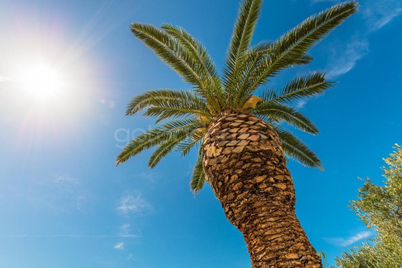 ברלה Near The Beach Apartments Jagodia מראה חיצוני תמונה